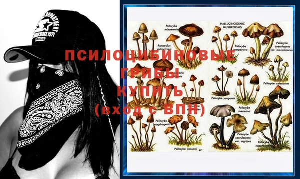 спайс Алексеевка