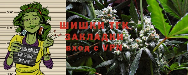 дмт Алексин