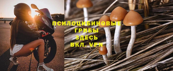 спайс Алексеевка