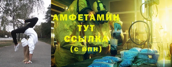дмт Алексин