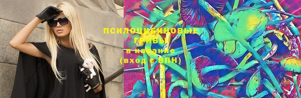 дмт Алексин
